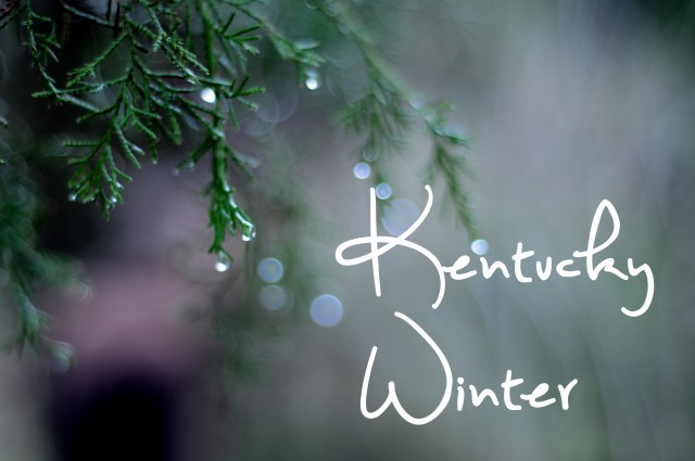 KentuckyWinter