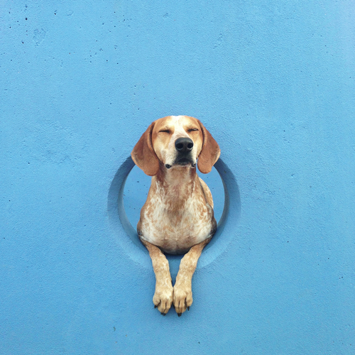 tumblr_mheqiz19zL1r9164to1_500