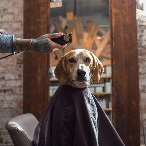 tumblr_mhyz61B3Lv1r9164to1_500