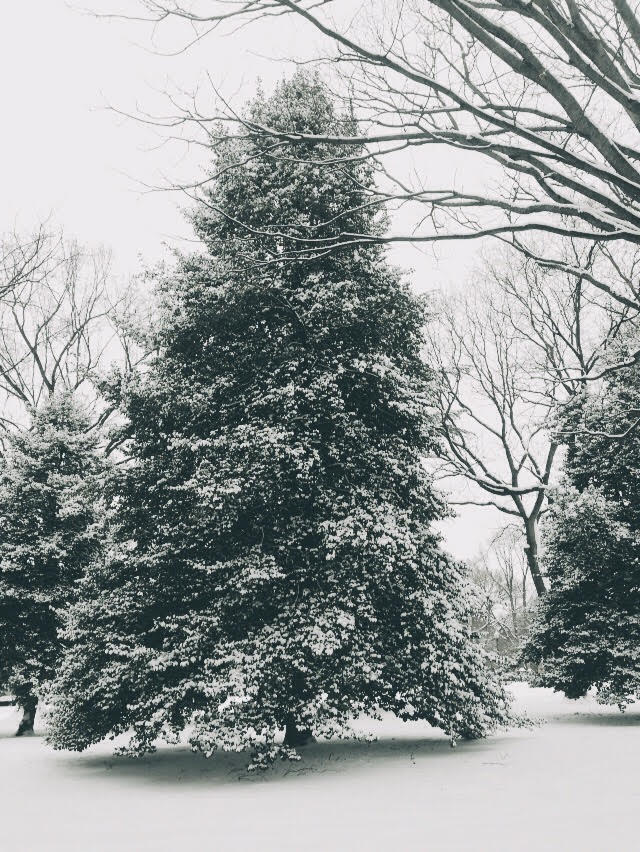 Processed with VSCOcam with se1 preset