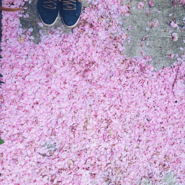 Processed with VSCO with a5 preset