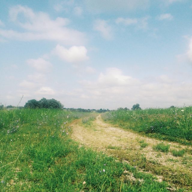 Processed with VSCO with g3 preset