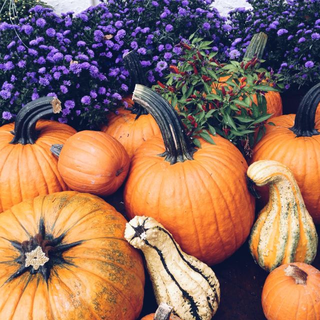 Processed with VSCO with a5 preset