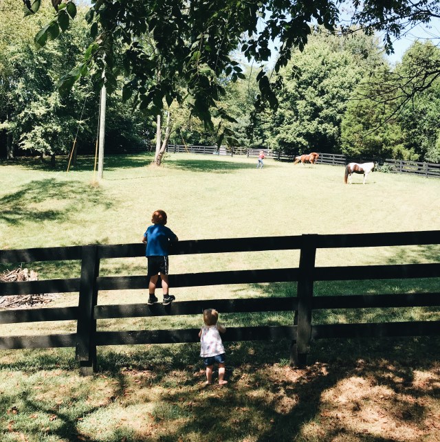 Processed with VSCO with a6 preset