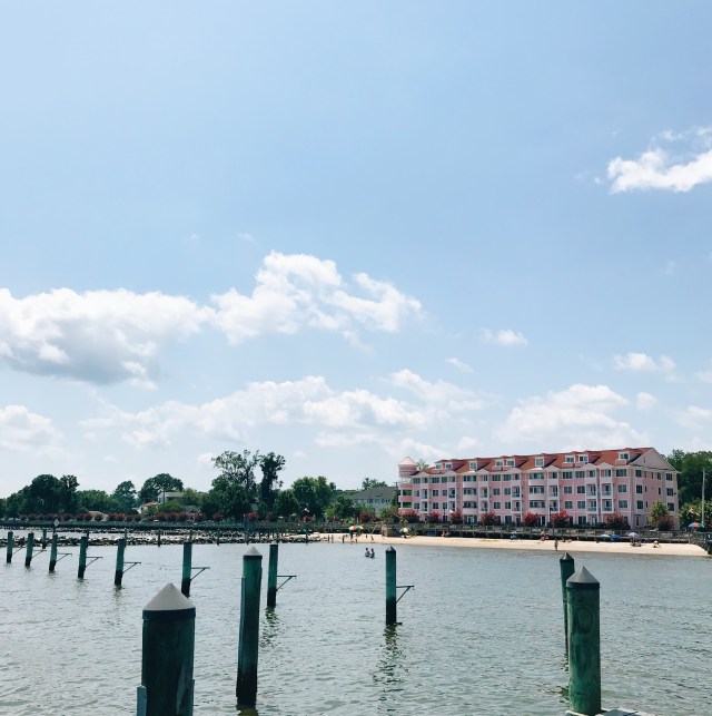 Processed with VSCO with a6 preset