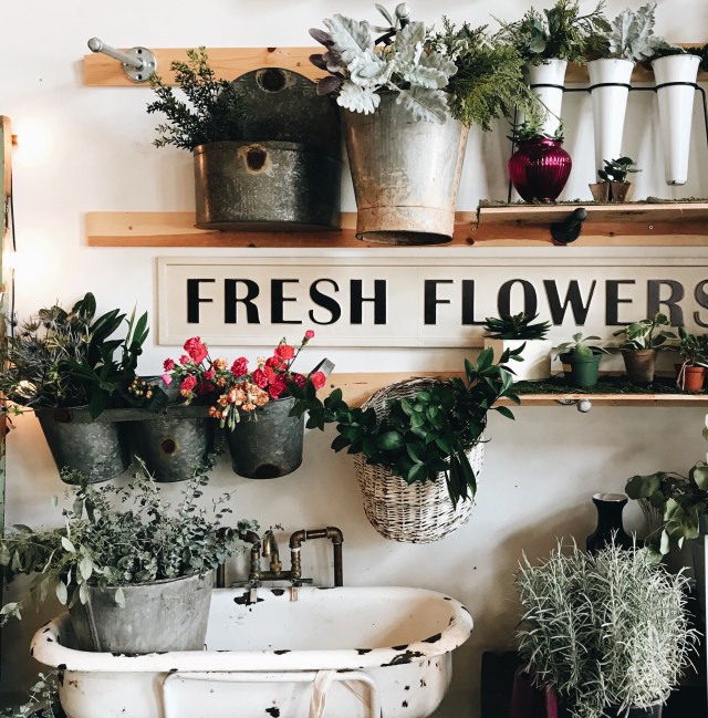 Processed with VSCO with a6 preset